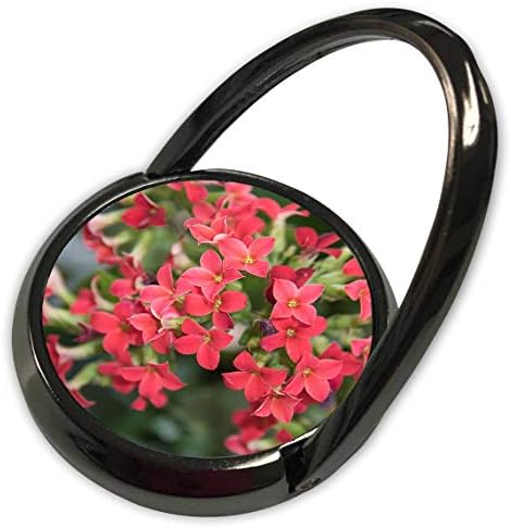 3d Роза Джо Изкуствена - Цветя - Красиви цветя коралов цвят на зелен храст - Обаждане по телефона (phr_323752_1)