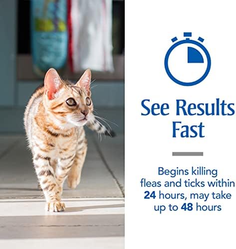 PetArmor Plus за котки, предпазване от бълхи и кърлежи за котки (с тегло над 1,5 кг), Включва в себе си 6-месечен запас от местните средства от бълхи, бял, брой 6 бр.
