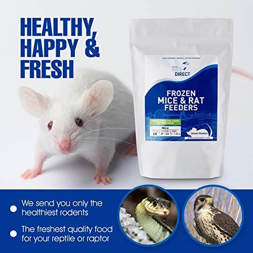 Храна за мишки MiceDirect Frozen Small Fuzzie Устройство за малолетни и непълнолетни Хогнозовых, Царевични и млечни змии (50 броя)