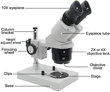 ZSEDP 10X-20X-30X-40X Бинокъла на Стереомикроскоп С подсветка Промишлен микроскоп с Окуляром за ремонт часа, проверка на печатни платки (Размер: 10X 30X и 40X)