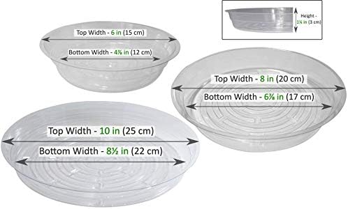 YOUniversal Products 15 X 6, 8,10-Инчови Прозрачни Палети за събиране на капки върху Чиния за растенията