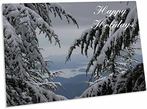 3dRose Щастливи празници - Бор, Сняг, Зимна сцена, Зима. - Подложки за настолни възглавници (dpd-78764-1)