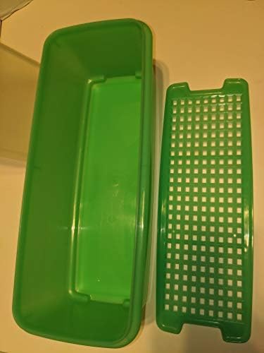 Контейнер за лесен е хрупкава коричка Tupperware зелена целина с мрежа и прозрачен печата