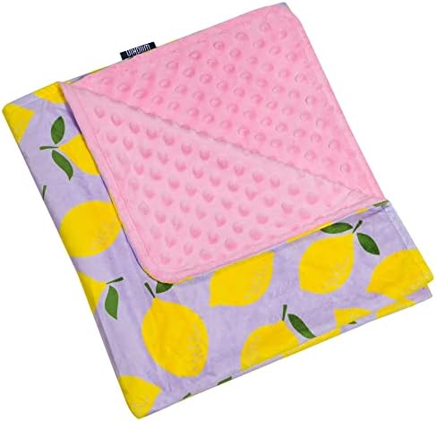 Плюшевое одеяло Wildkin за малки момчета и момичета, идеален размер за дневна грижа и подходящ за пътуване, супер меки завивки с Размери 39,5 х 28 х 0,5 инча (лилаво лимонада)